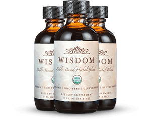 Wisdom supplement three bottles — 3 month supply