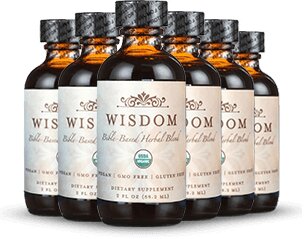 Wisdom supplement six bottles — best value 6 month supply